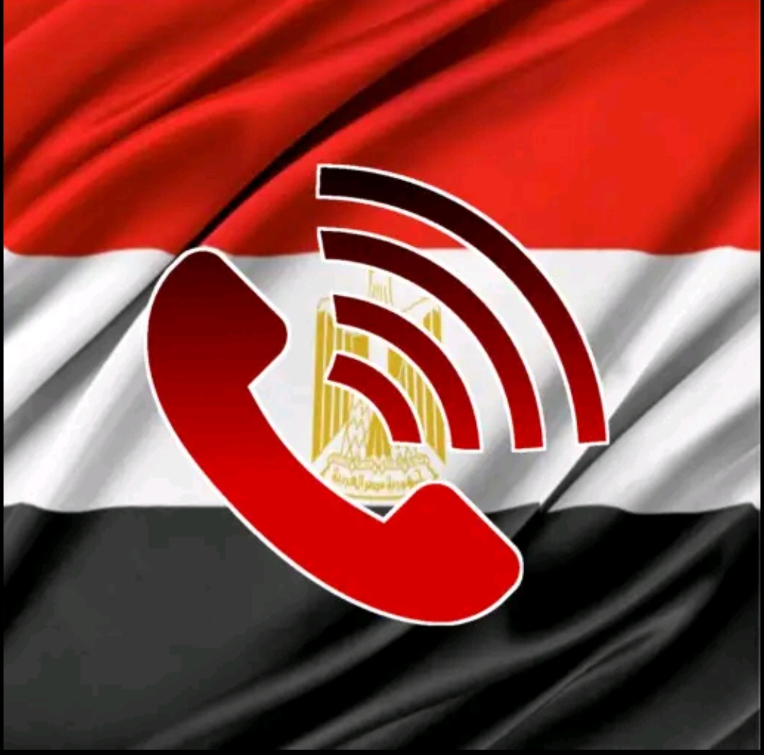 دليلي المصري